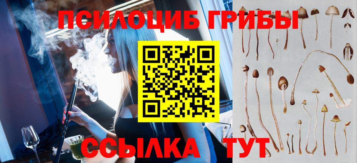 Галлюциногенные грибы прущие грибы  Вход с VPN  дарнет шоп  Лесозаводск 